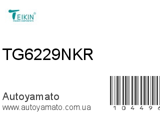 TG6229NKR (TEIKIN)