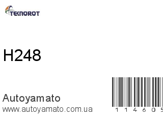 Рычаг H248 (TEKNOROT)