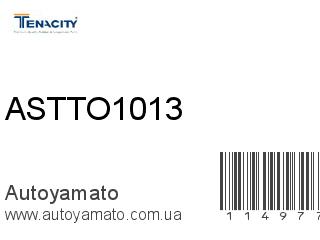 ASTTO1013 (TENACITY)