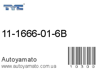 11-1666-01-6B (TYC)