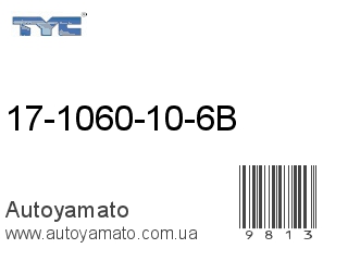 17-1060-10-6B (TYC)