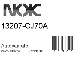 13207-CJ70A (VITON)