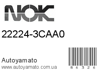 22224-3CAA0 (VITON)